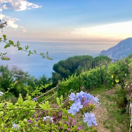 Villa Pietrafiore Monterosso al Mare Exterior photo