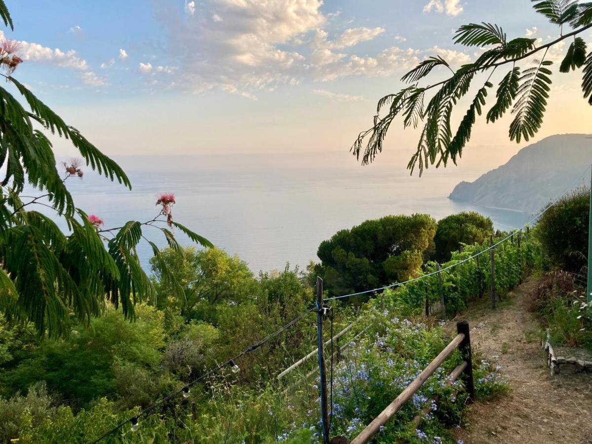 Villa Pietrafiore Monterosso al Mare Exterior photo