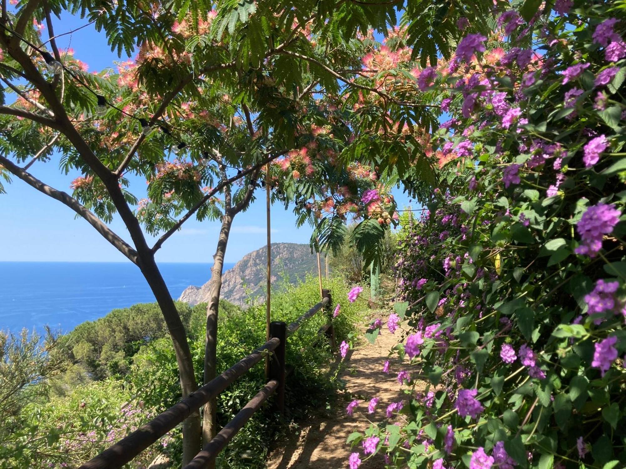 Villa Pietrafiore Monterosso al Mare Exterior photo