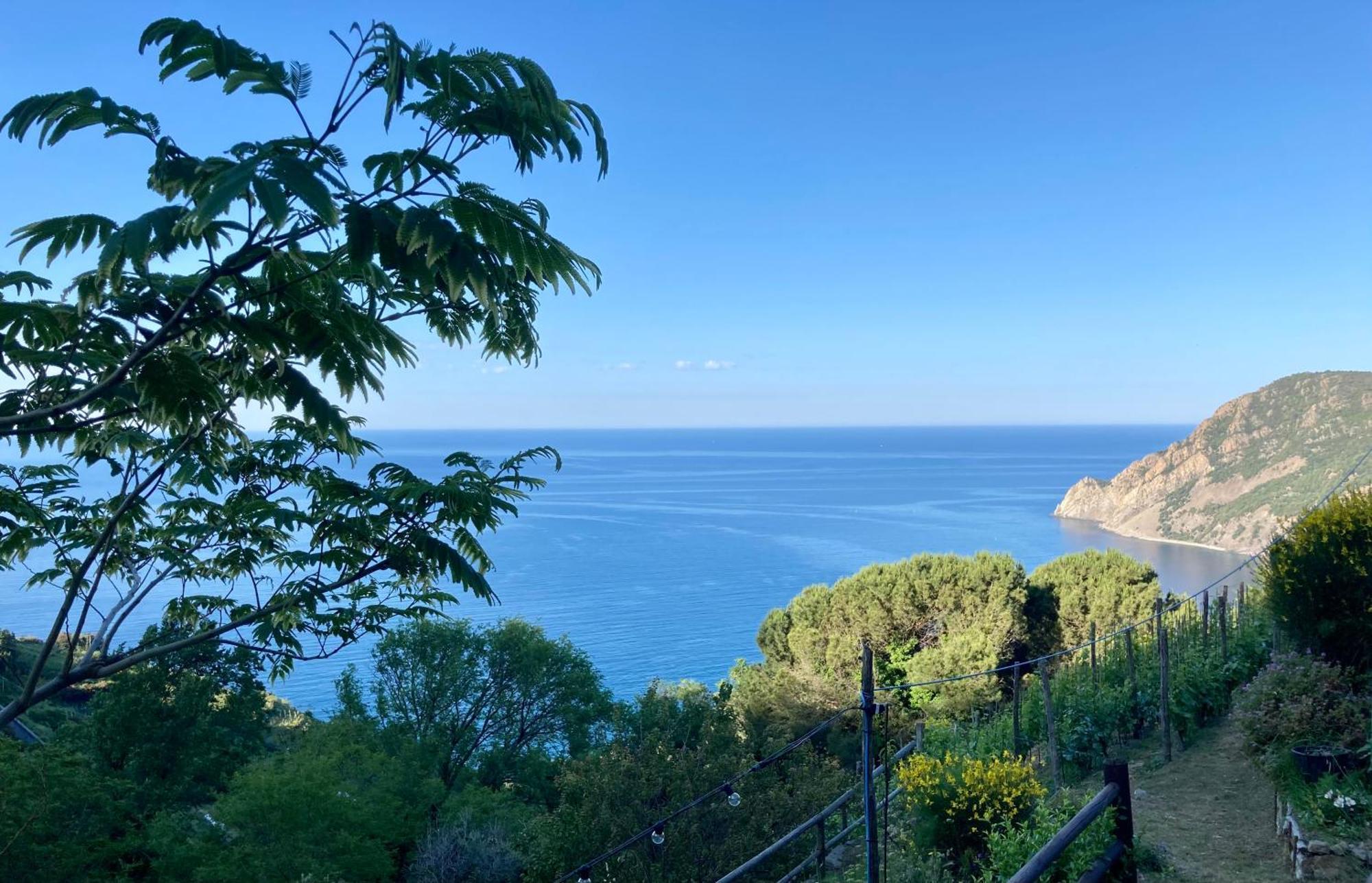 Villa Pietrafiore Monterosso al Mare Exterior photo