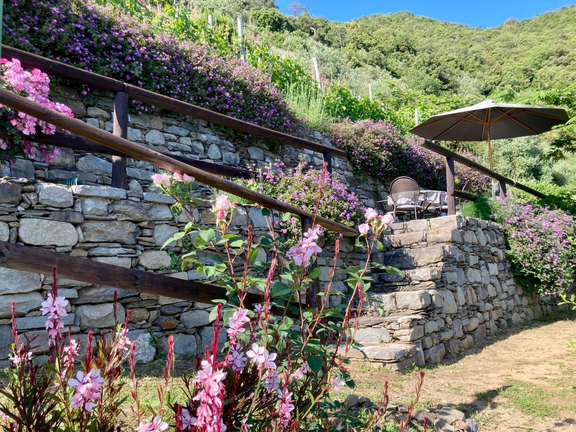 Villa Pietrafiore Monterosso al Mare Exterior photo